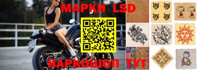 стаф Камышлов