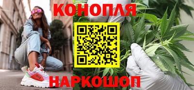 гидра Кандалакша