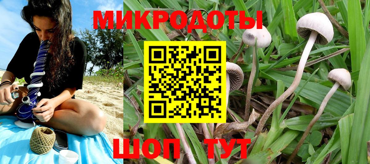 Галлюциногенные грибы прущие грибы  Вход с VPN  Югорск 